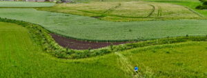 Agroforst & Keyline Design Kurs am Schloss Tempelhof